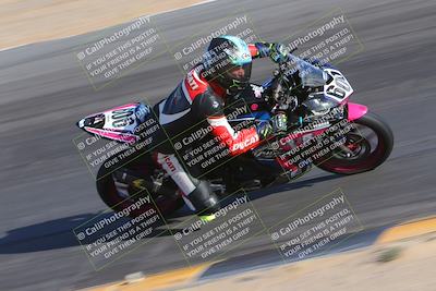 media/Dec-10-2023-SoCal Trackdays (Sun) [[0ce70f5433]]/Turn 10 Inside (140pm)/